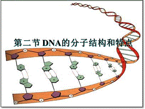 高中生物浙科版必修二第三章第二节DNA的分子结构和特点.ppt