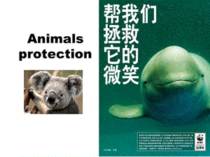 高二英语牛津M5关于动物保护(英语).ppt