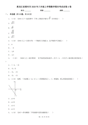 黑龙江省黑河市2020年八年级上学期数学期末考试试卷A卷