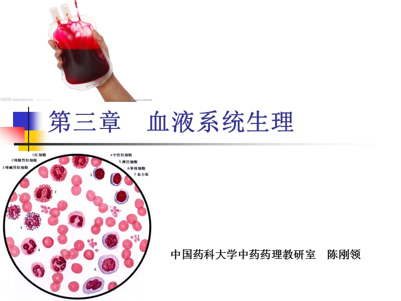 《血液系统生理》ppt课件_第1页